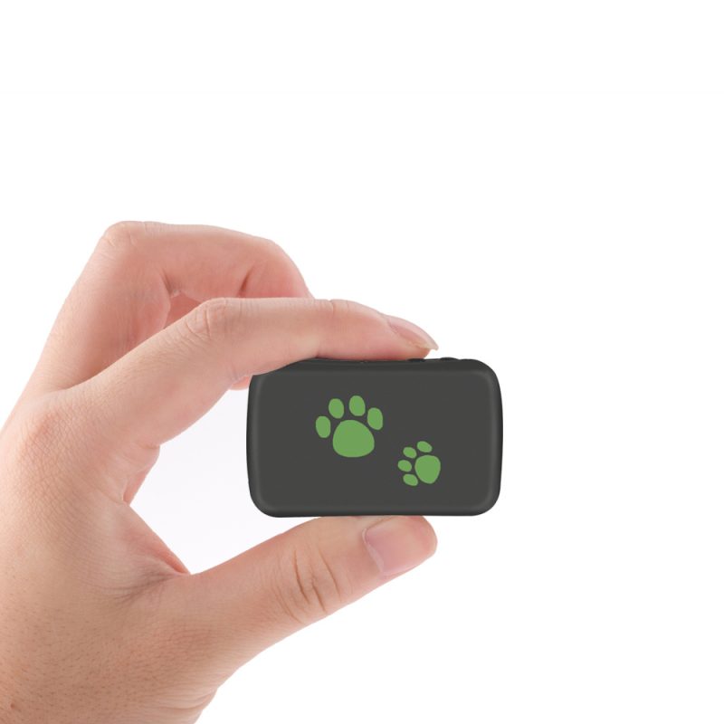 Waterproof PVC Pet GPS Tracker — Anti-Lost & Real-Time Tracking